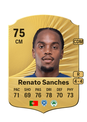 Renato Júnior Luz Sanches