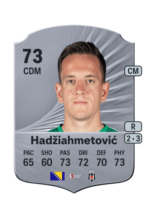Amir Hadžiahmetović
