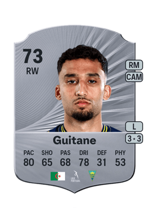 Rafik Guitane