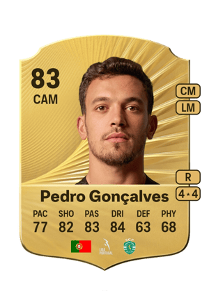 Pedro António Pereira Gonçalves