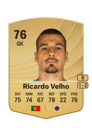 Ricardo Velho