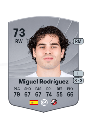 Miguel Rodríguez Vidal