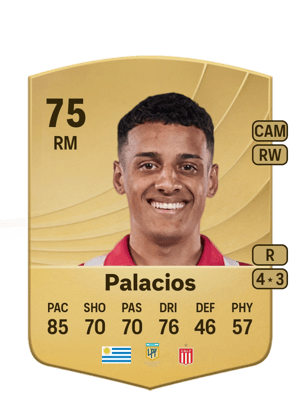 Tiago Palacios