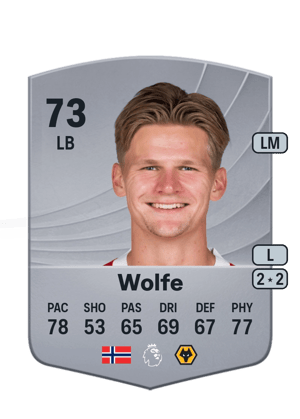 David Møller Wolfe