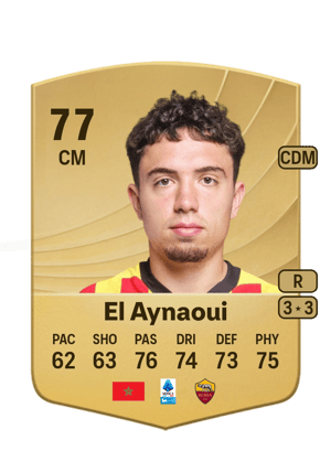 Neil El Aynaoui
