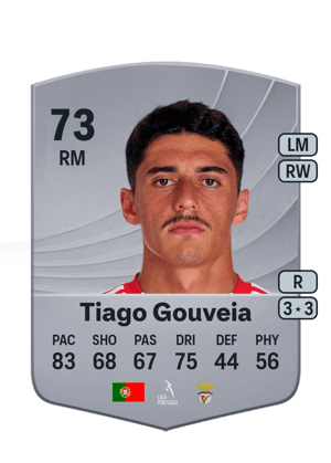 Tiago Gouveia