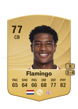 Ryan Flamingo
