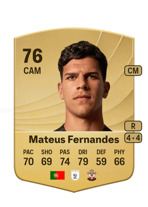 Mateus Gonçalo Espanha Fernandes