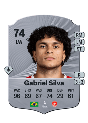 Gabriel Silva Vieira