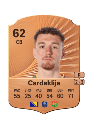 Anes Cardaklija