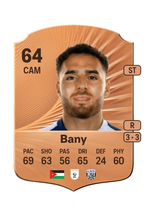 Tammer Bany
