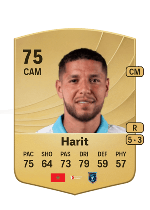 Amine Harit