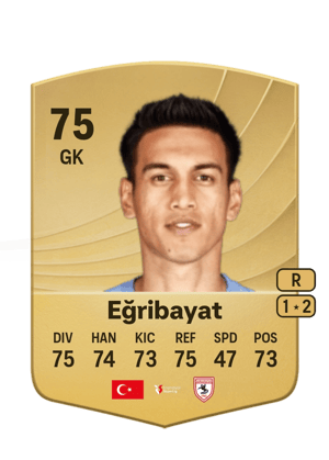 İrfan Can Eğribayat