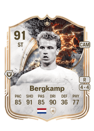 Dennis Bergkamp