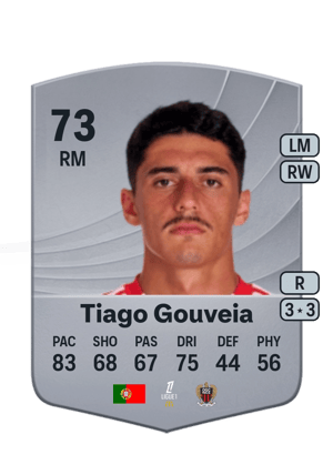 Tiago Gouveia