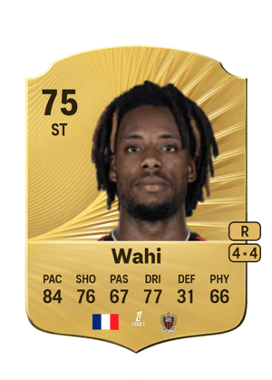 Elye Wahi