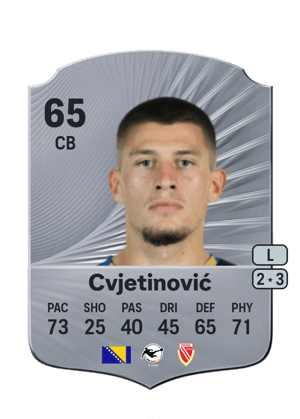Mladen Cvjetinović