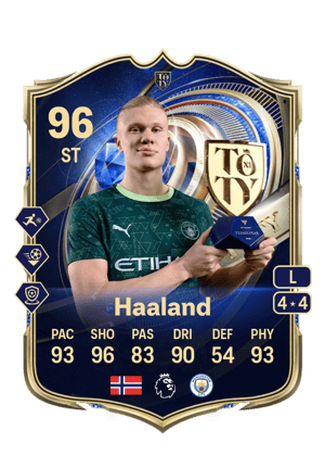 Erling Haaland