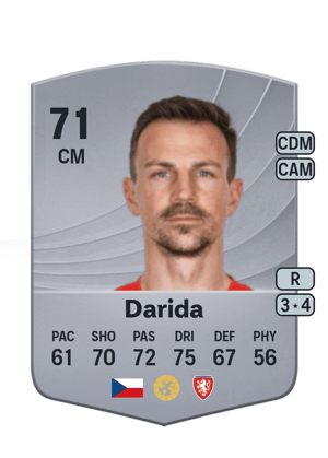 Vladimír Darida