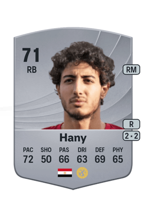 Mohamed Hany
