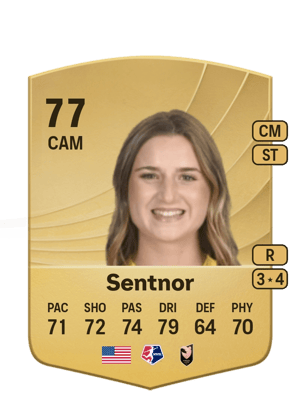 Ally Sentnor