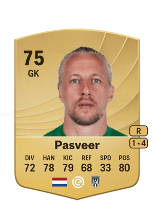 Remko Pasveer