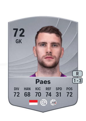 Maarten Paes