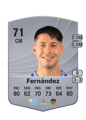 Nicolás Fernández