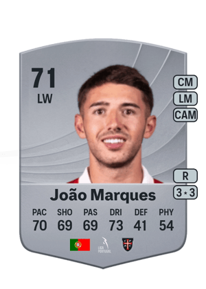 João Miguel Marques