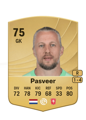 Remko Pasveer