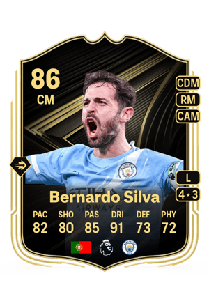 Bernardo Mota Carvalho e Silva