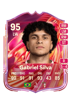 Gabriel Silva Vieira